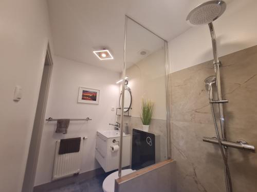 ein Bad mit einer Dusche, einem WC und einem Waschbecken in der Unterkunft Csever Apartman in Tata