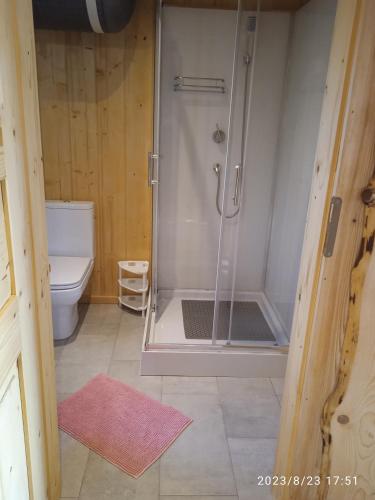 uma casa de banho com um chuveiro e um WC. em Jędrzejówka em Kazimierz Dolny