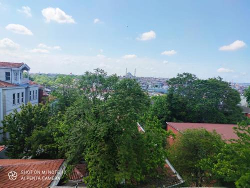 a large tree in the middle of a city at Solomon's Mansion Hotel Istanbul in Istanbul
