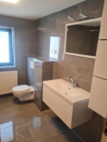 ein Bad mit einem Waschbecken und einem WC in der Unterkunft Zimmer zu vermieten in Gundelsheim