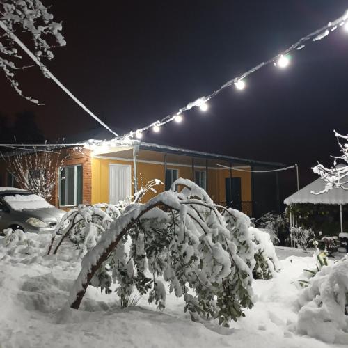 a house covered in snow at night with lights at Magdan house in Tskaltubo