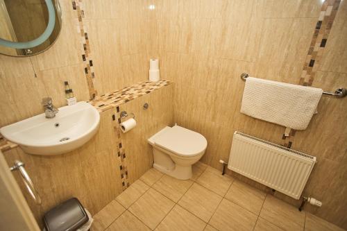 a small bathroom with a toilet and a sink at Five Glens Inn in Manorhamilton