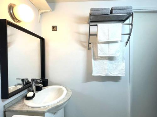 uma casa de banho com lavatório, espelho e toalhas em Hypercentre Evry Appartement équipé avec Parking inclus em Courcouronnes