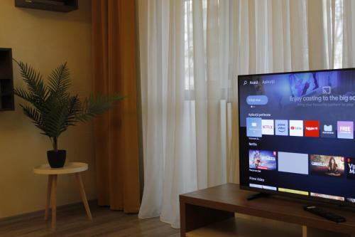 une télévision à écran plat assise sur une table avec une plante en pot dans l'établissement Helia Apartment, à Galaţi