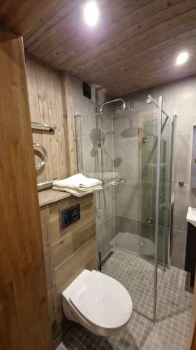 a bathroom with a glass shower and a toilet at Sofi Apartment in Võru