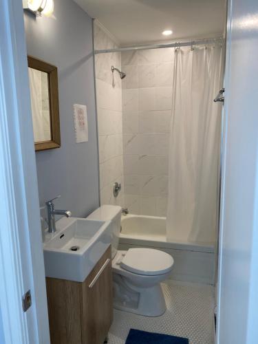 uma casa de banho com um lavatório, um WC e um chuveiro em Rustic Retreat em Lambton Shores
