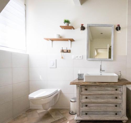a bathroom with a sink and a toilet and a mirror at Romantik-Home Nordelsass - Ferienwohnung für Selbstversorger in Oberhoffen-lès-Wissembourg