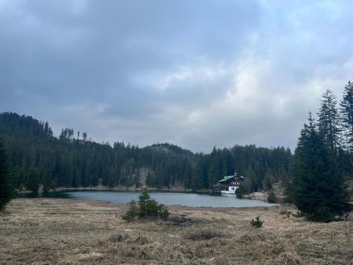 a lake with a house in the middle of a field at Cityapartments Reutte in Reutte