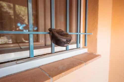 a baseball glove hanging on a window sill at Le studio de giens in Hyères