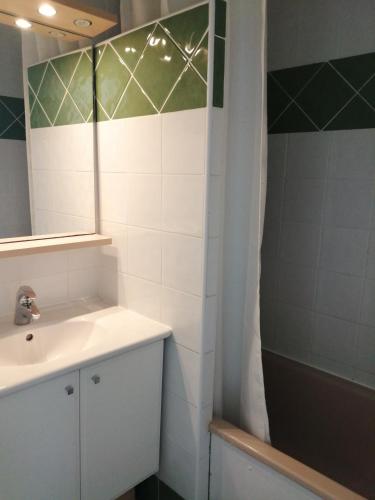 une salle de bain avec un lavabo, un miroir et une douche dans l'établissement VUE LAGUNE ET BATEAUX A 100M DE LA PLAGE, à Saint-Cyprien