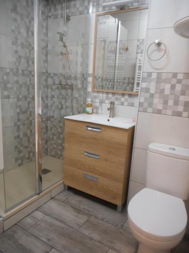a bathroom with a shower and a toilet and a sink at Appartement vue lateral du lac in Vieux-Boucau-les-Bains