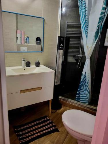 une salle de bain avec un lavabo, des toilettes et une douche dans l'établissement Chez Nirina proche Puys DuFou, à Mortagne-sur-Sèvre