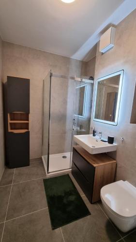 een badkamer met een toilet, een wastafel en een douche bij Caelestis greenside residence in Zagreb