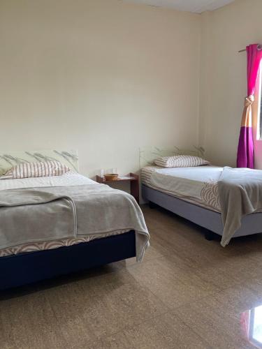 プエルト・バケリソ・モレノにあるKicker House Turtle Roomのベッドルーム1室(隣り合わせのベッド2台付)