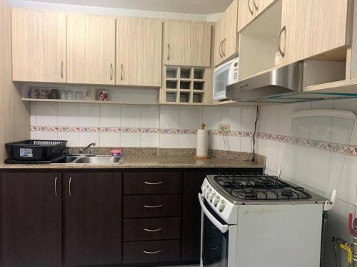 a small kitchen with a stove and a sink at Acogedor Apartamento Completo 2 Recamaras 2 Baños. in Panama City