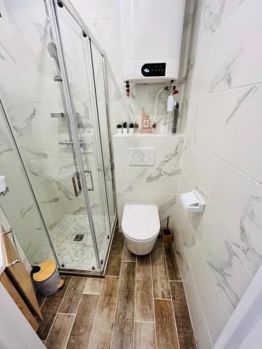 une salle de bain avec douche et toilettes dans l'établissement Luxury Studio à Cannes/Croisette, à Cannes