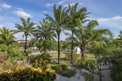 a group of palm trees in a park at JW Marriott Guanacaste Resort & Spa in Tamarindo