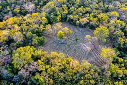 an aerial view of a labyrinth in a forest at JW Marriott Guanacaste Resort & Spa in Tamarindo