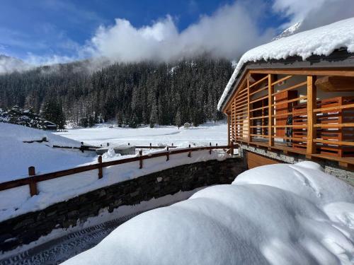 een blokhut in de sneeuw met een sneeuwoverdekte tuin bij De Goldene Traum in Gressoney-Saint-Jean