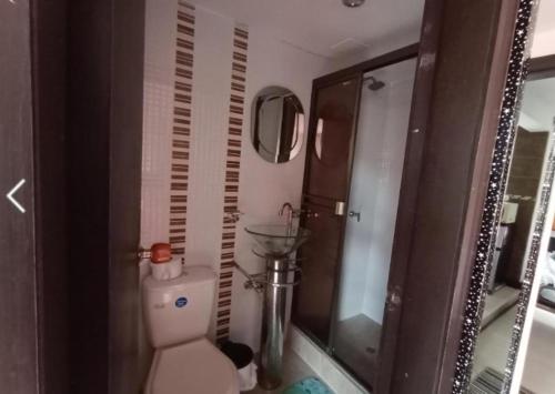 ein Bad mit einem WC und einem Spiegel in der Unterkunft Casa de Huéspedes Santa María Hotel in Bogotá