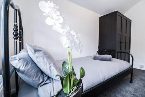 a bedroom with a black bed with a plant at Great 3 Bed Refurbished House in Colchester