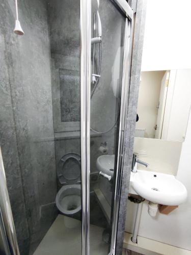 a bathroom with a shower with a toilet and a sink at Osney Single Studio only for one adult in Oxford
