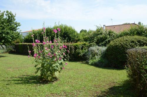 Photo de la galerie de l'établissement maison idéale pour famille avec enfants, à Hiers-Brouage