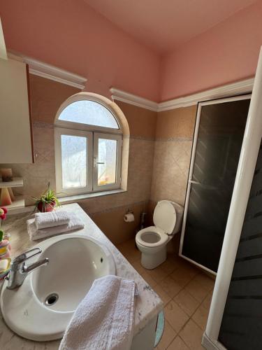 La salle de bains est pourvue d'un lavabo et de toilettes. dans l'établissement Silver Villa, à Gjirokastër