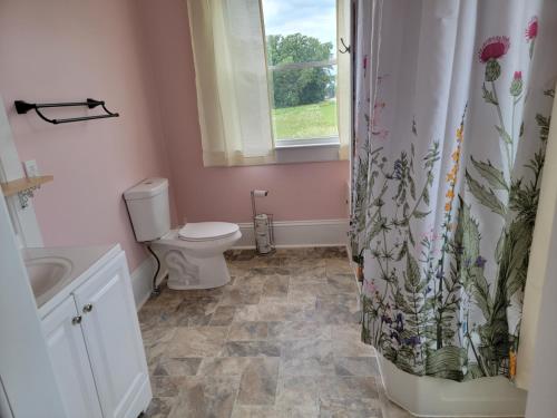 a bathroom with a toilet and a shower curtain at Josephine's Bed & Breakfast in Titusville