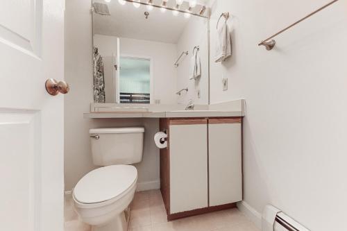 Un baño con inodoro, lavabo y espejo. en Winterplace Getaway, en Ludlow