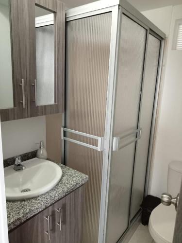 La salle de bains est pourvue d'un lavabo, d'une douche et de toilettes. dans l'établissement apartamento amoblado norte de armenia, à Hojas Anchas