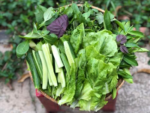 a basket full of lettuce and other vegetables at LA'S FARMSTAY in Trảng Bàng
