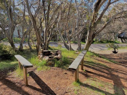 two wooden benches sitting in a park with trees at Mountain Retreat Suitable for 2 Families, Sleeps 8 in Mount Buller