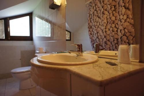 y baño con lavabo y aseo. en Hotel La Planada en Ordino