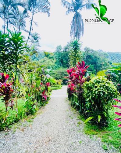 a path through a garden with flowers and palm trees at La Purruja Lodge in Golfito