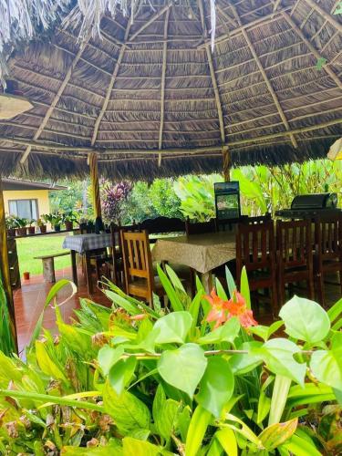 a restaurant with a straw roof and some plants at La Purruja Lodge in Golfito