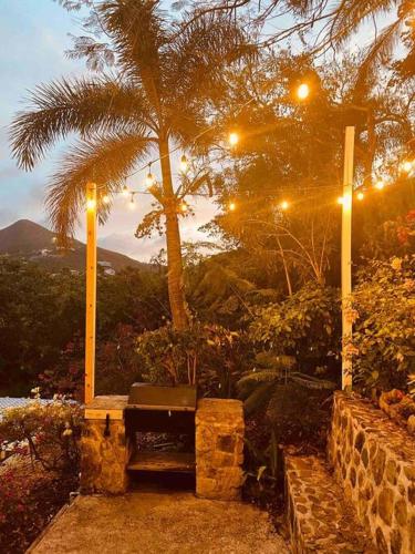 a park bench sitting under a palm tree at night at 702 w/ a view at Princess Heights in Dawn Beach