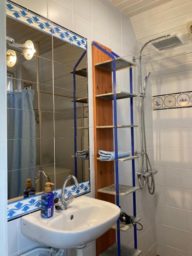 a bathroom with a sink and a mirror at Gudrun 5 pers Equipped house with sauna. Dogs are welcome! in Anjum