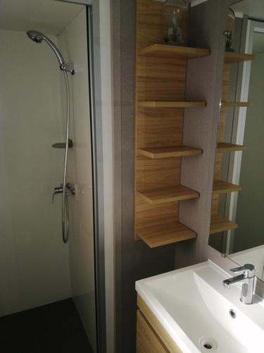une salle de bain avec une douche, un lavabo et un miroir dans l'établissement mobil-home camping siblu, à Litteau