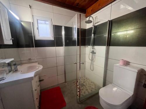 a bathroom with a shower and a toilet and a sink at Le Muguet by EGL IMMO in Saint-Pierre