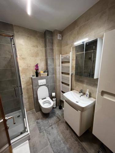 uma casa de banho com um WC, um lavatório e um chuveiro em Kanna Apartments - Bulevar - Free Parking em Sarajevo