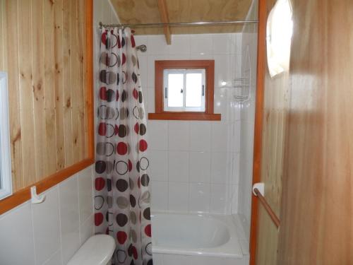 a bathroom with a shower curtain and a tub at Cabaña Choshuenco B & B in Choshuenco
