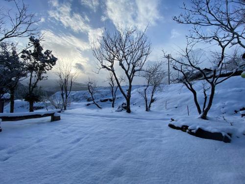 a snow covered park with trees and a bench at kakayama hutte in Muraoka