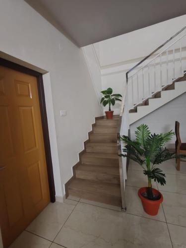 a hallway with stairs with potted plants and a door at Greenview Royal Stay Near Amrita Hospital Edappally in Cochin