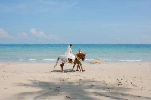 a bride and groom on a horse on the beach at Banyu Biru Villa in Lagoi