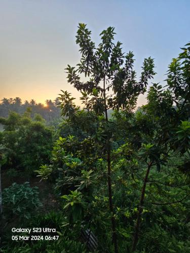 Gallery image of Kevin's Place in Seeduwa