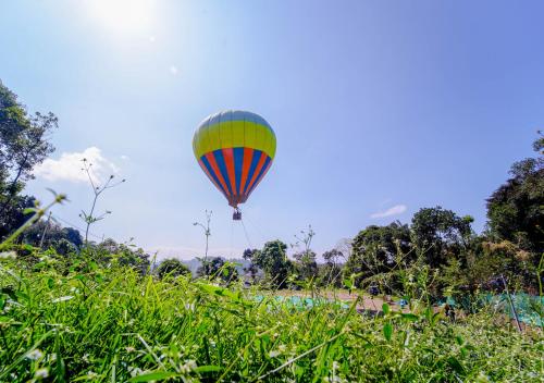 a colorful hot air balloon flying over a field at Cool Nest 5 BR Pool Villa Munnar by VOYE HOMES in Munnar
