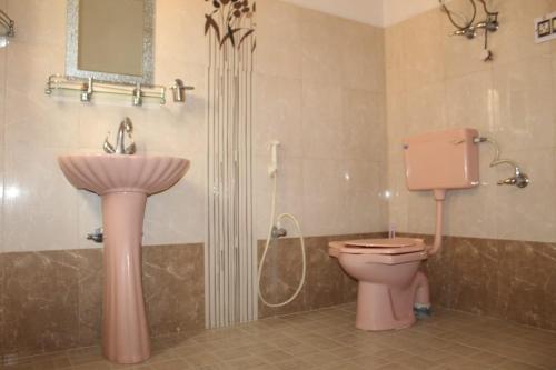 a bathroom with a pink toilet and a sink at Hotel Bakhtawar in Srinagar
