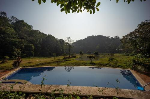 Πισίνα στο ή κοντά στο Three Hills Resort Coorg