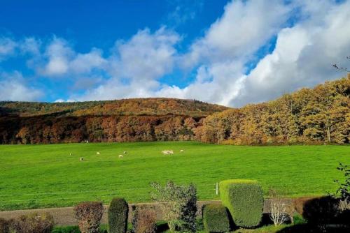 un grande campo verde con pecore in lontananza di La Maison des Roses a Drachenbronn